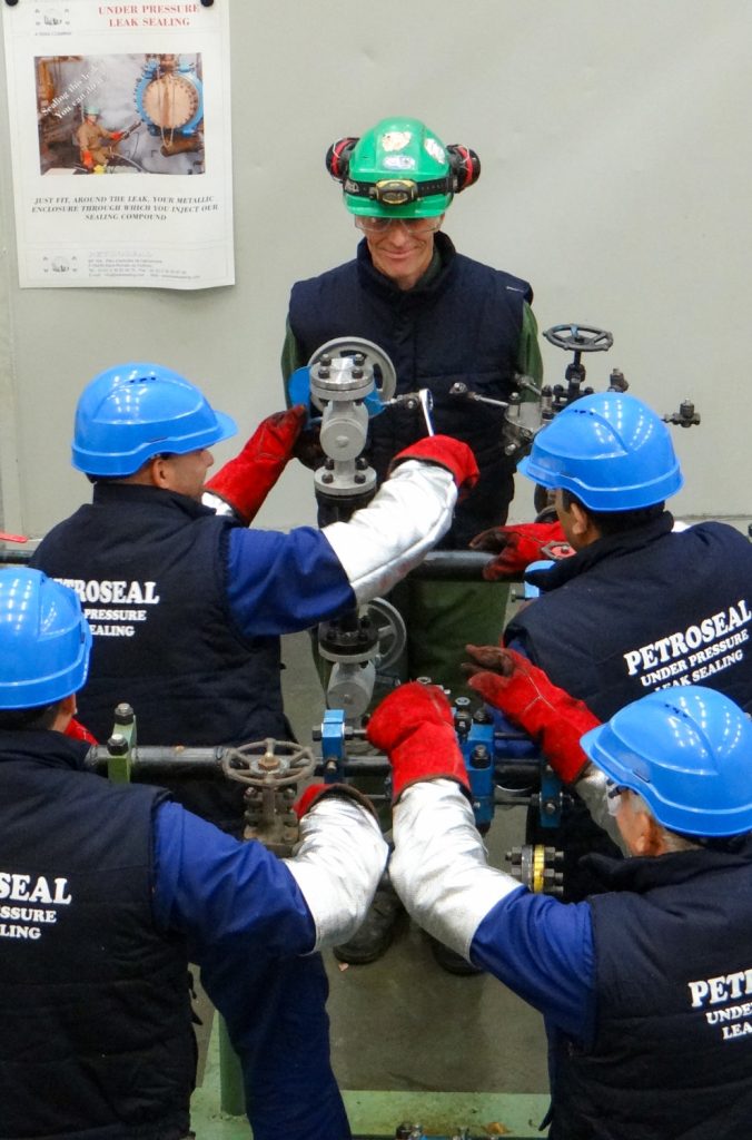 Petroseal Excellence at the core of every project