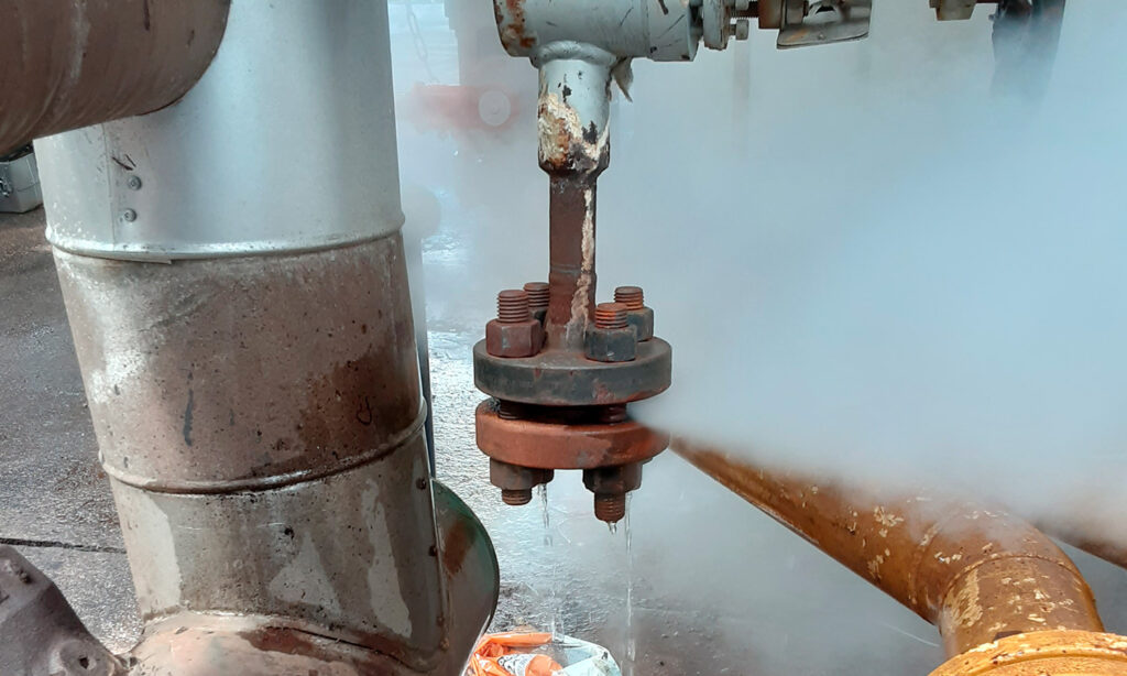 FF Flange