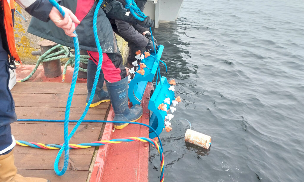 Petroseal Subseas pipelines expertise