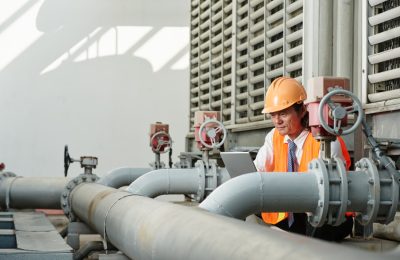 Petroseal Consulting & Support Petroseal Consulting & Support