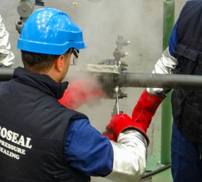 Petroseal Support reliable advice