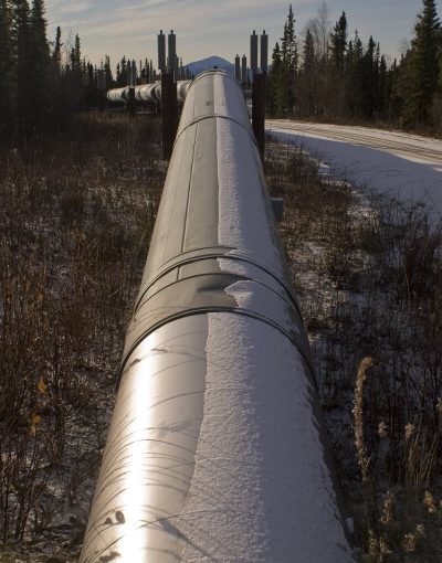 Petroseal Choosing the right compound in chemically aggressive environments Petroseal Choosing the right compound in chemically aggressive environments