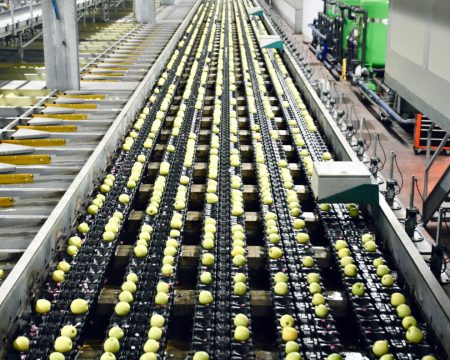 Petroseal Leak prevention Food industries